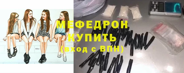 трава Карпинск