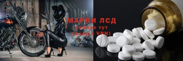 трава Карпинск