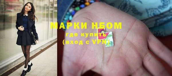 трава Карпинск