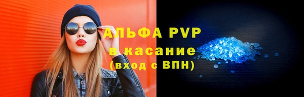 трава Карпинск