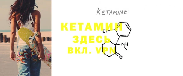 трава Карпинск
