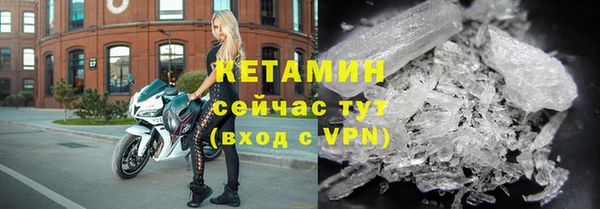 трава Карпинск
