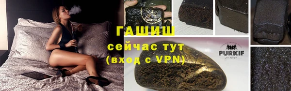 трава Карпинск