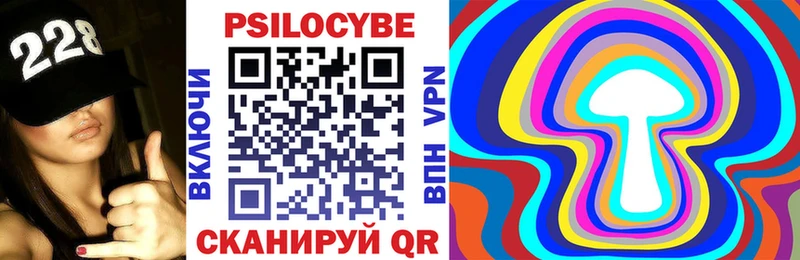 Купить где  Сосновый Бор  Галлюциногенные грибы Cubensis 
